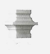 3/4 Collar