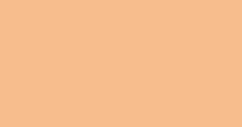 Sandalwood Warm Beige
